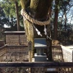 甲府市でもの凄いパワスポパワーを頂きました