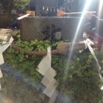 都内の貴重なお水取り神社
