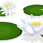 忌中、喪中の期間はどう決まる?…もう迷わない!