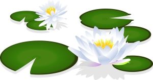 忌中、喪中の期間はどう決まる?…もう迷わない!