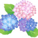 暦の九星はこんなふうに変わる…2016年6月のお水取り