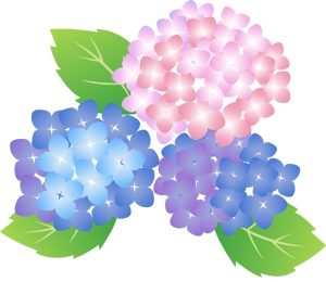 暦の九星はこんなふうに変わる…2016年6月のお水取り