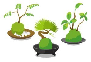 樹木を頂く祐気取り手法とは？