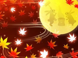 お水取りは月に何回行っても大丈夫!2016年9月のお水取り