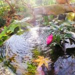 2016年11月のお水取り…大吉月は長蛇の列