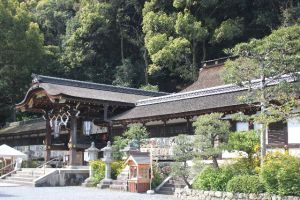 大吉月に松尾大社でお水取り