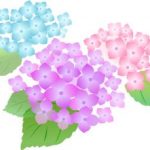 暦の反転後は気が乱れる?2017年6月のお水取り