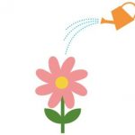 お水取りで余った御神水を最高に活用する方法とは?