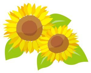 東北(寅)方位ってなに？2017年7月のお水取り