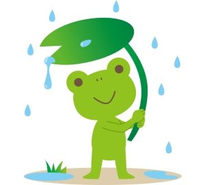 お水取りで梅雨時に気を付けたいことは何か?