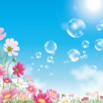 昼間のお水取りで明るく爽やかになる唯一の方法とは?