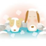 冬のお水取りで絶対やってはいけない禁じ手とは?