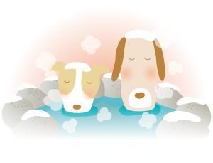 冬のお水取りで絶対やってはいけない禁じ手とは？