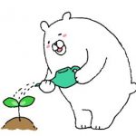 五黄土星月の祐気取りで究極の木気法秘伝とは？