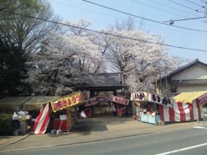 お滝不動尊で祐気取りとお花見を楽しむと…