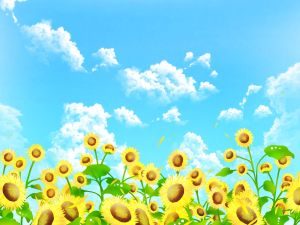 2018年8月の吉方位…三碧と四緑の人は吉方位が少ない