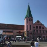 東京ドイツ村は五月晴れー花と緑がいっぱいの昼下がり
