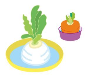 五黄土星月の木気法を実践してみた！