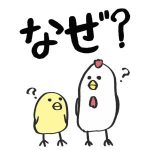 2019年1月の吉方位1月14日はなぜ南東(巳)方位にお水取りできないのか?